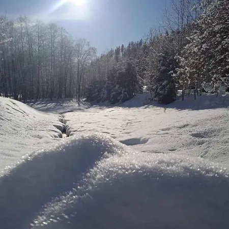 Krkonose Horska Chalupa Pokoj Проживание в семье Дольни-Двур